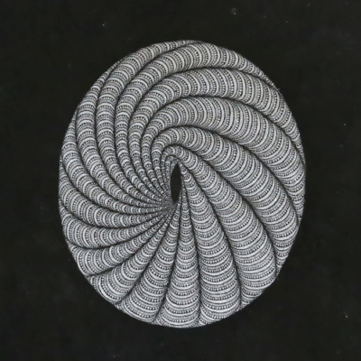 Infini + 1 Jérémy Louvencourt, (∞ + 1), 2016.