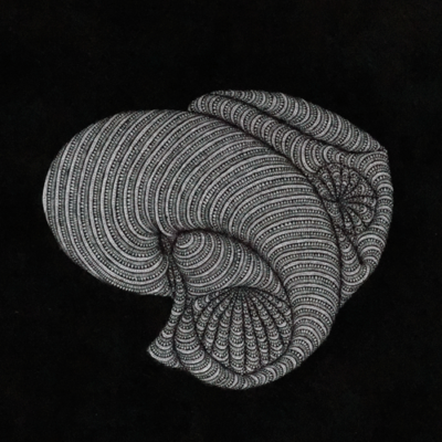 Infini + 1 Jérémy Louvencourt, (∞ + 1), 2016.
