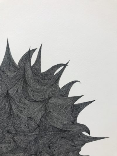 Jérémy Louvencourt, Série étude des pollens #2, Ink on paper, 2020. Detail.